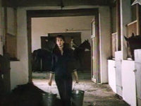    (1981) -  2