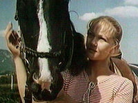    (1981) -  4