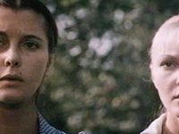   (1981) -  23