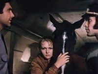    (1981) -  8