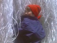 ,   (1987) -  15