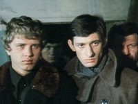   (1981)