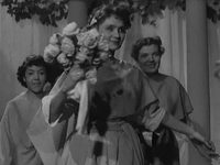     (1956) -  14