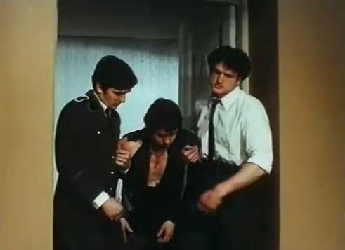      (1977)