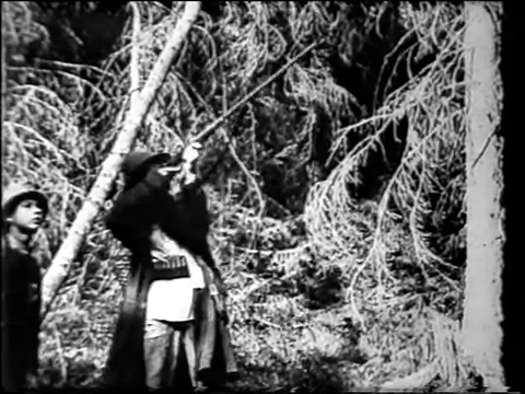  (1929)