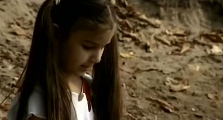    (2004)
