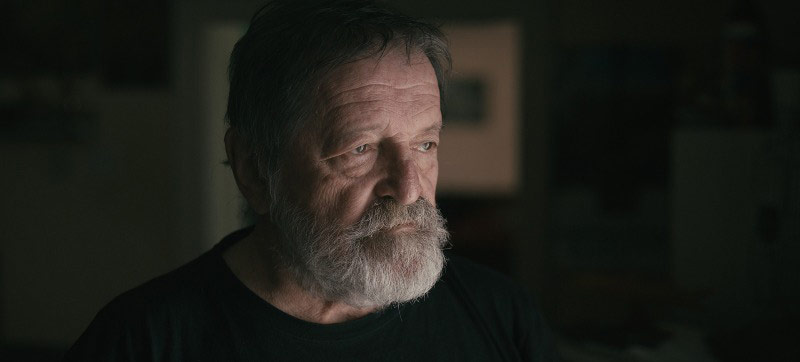   (2015)
