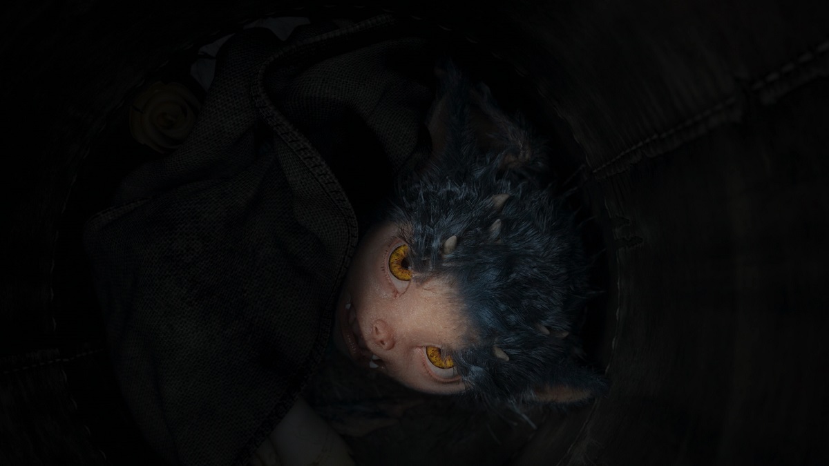    (2019)
