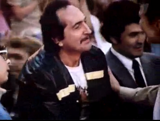 Восьмое чудо света 1981