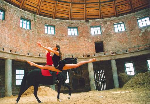    (2006)