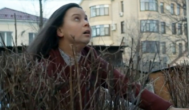  (2016)