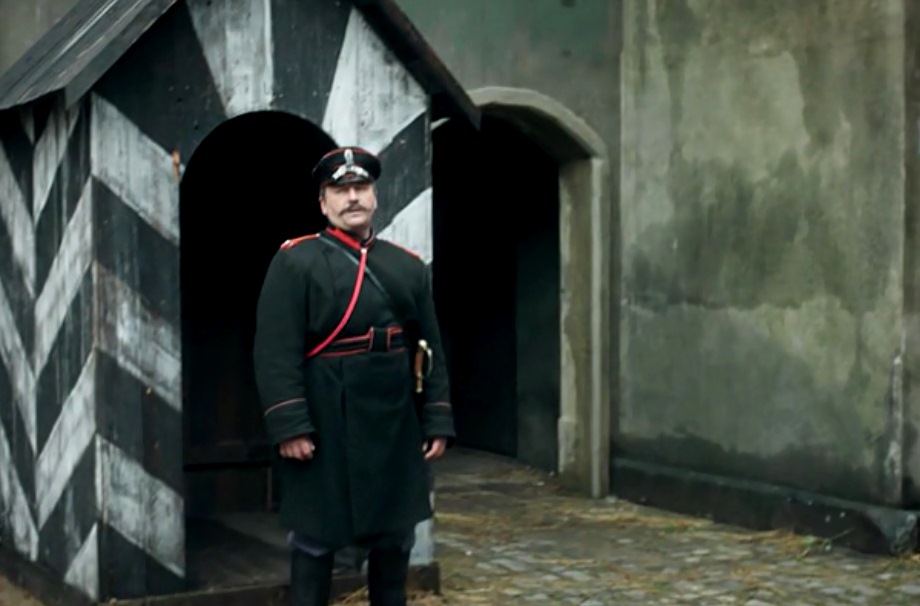  (2017)