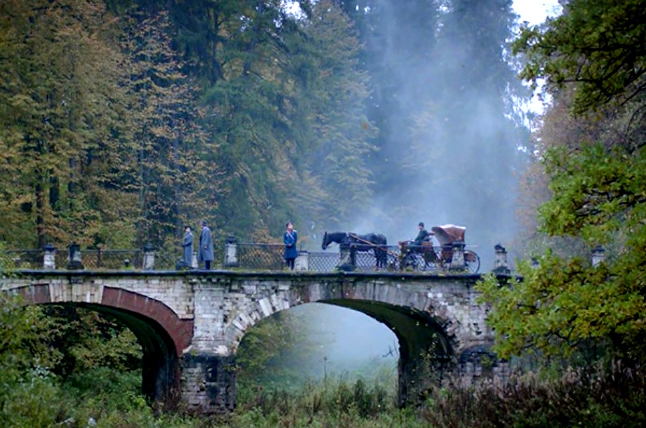  (2017)