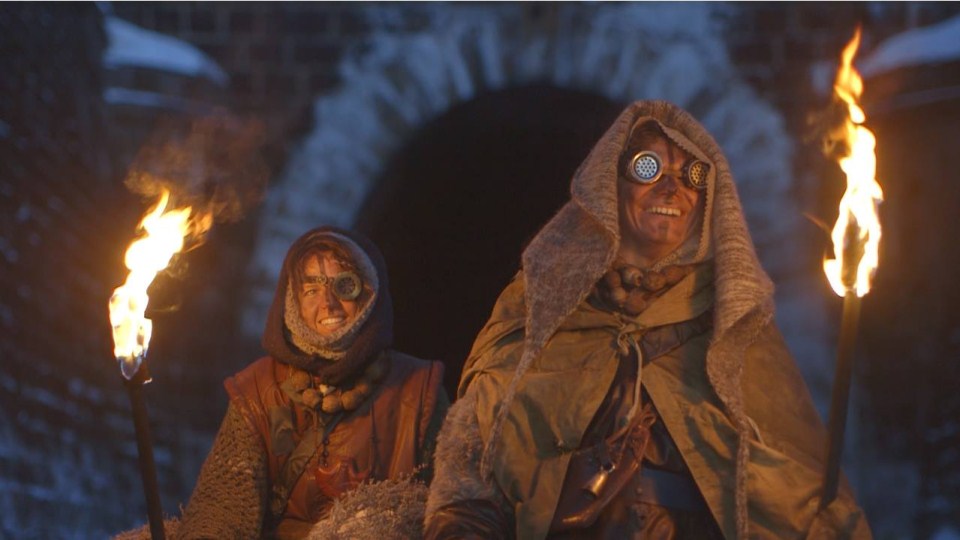   (2017)
