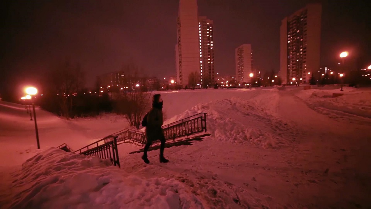      (2017)