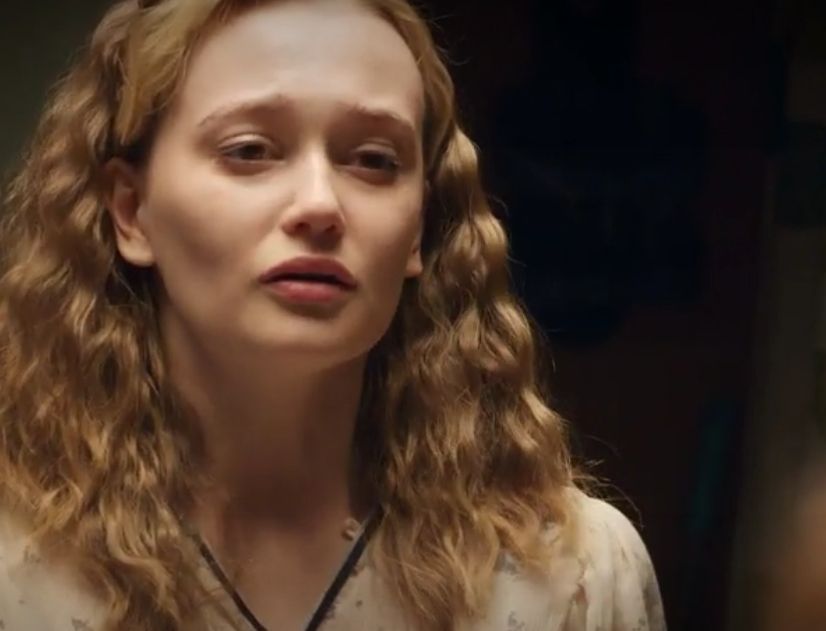   (2017)