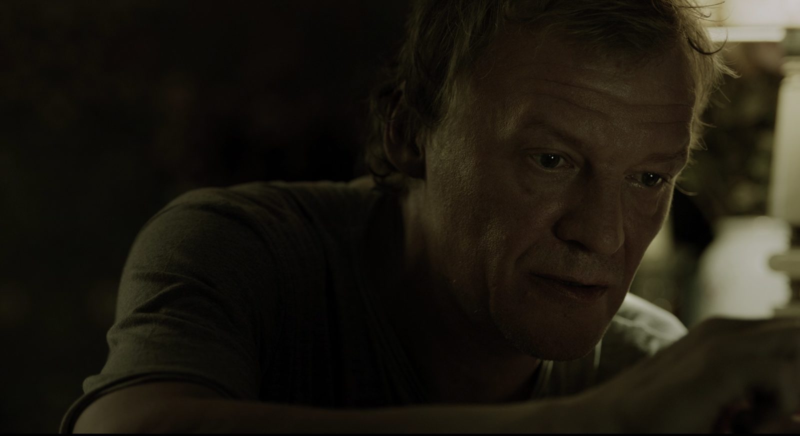   (2018)