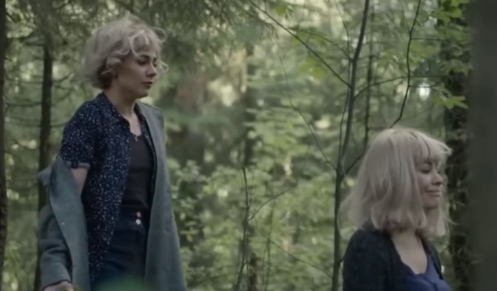  (2017)