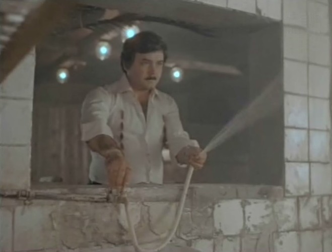    (1984)