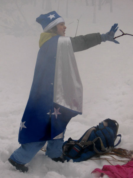    (2007)