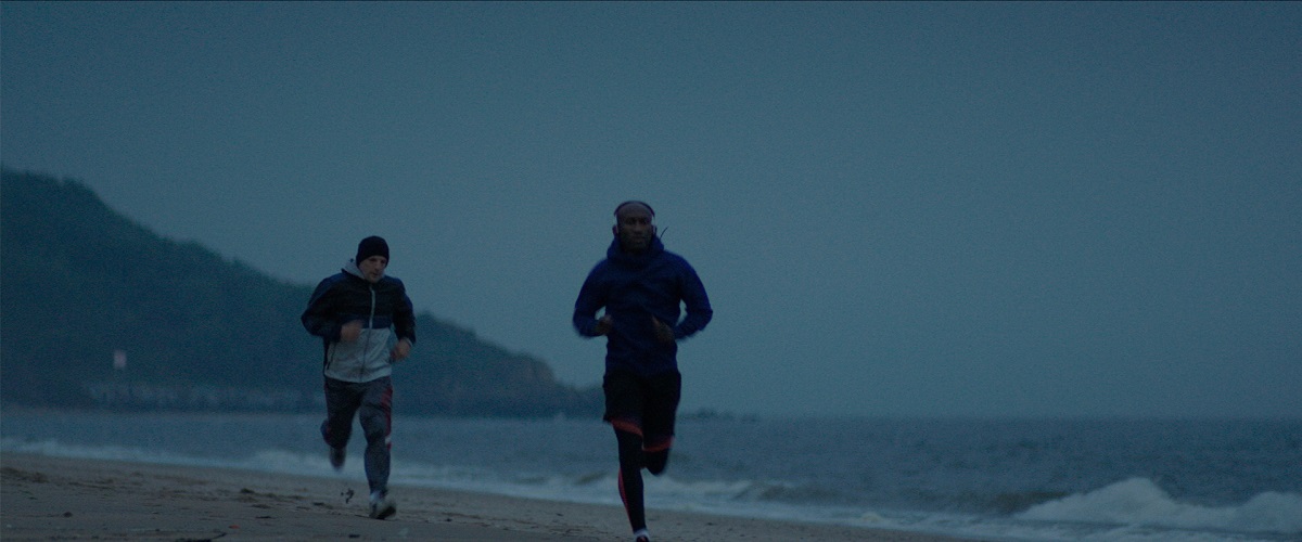  (2017)