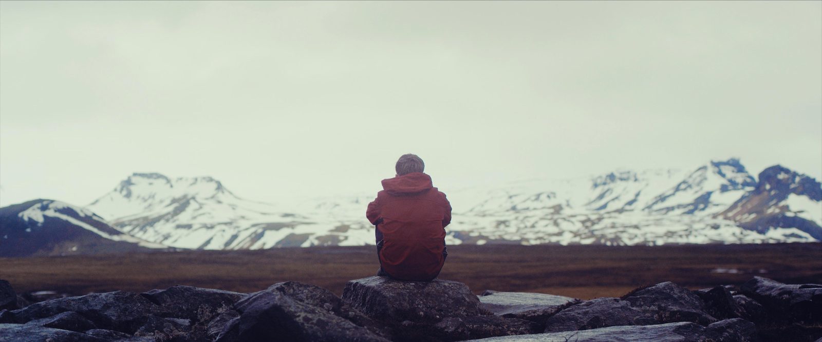  (2017)