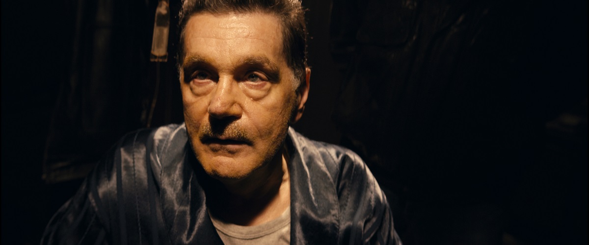      (2019)