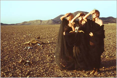        (1984)