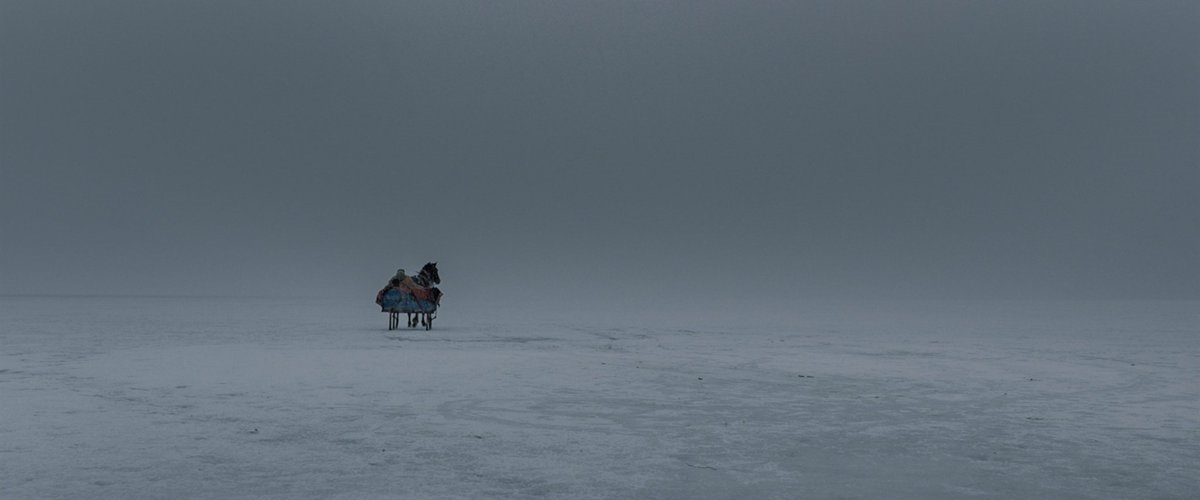 (2018)