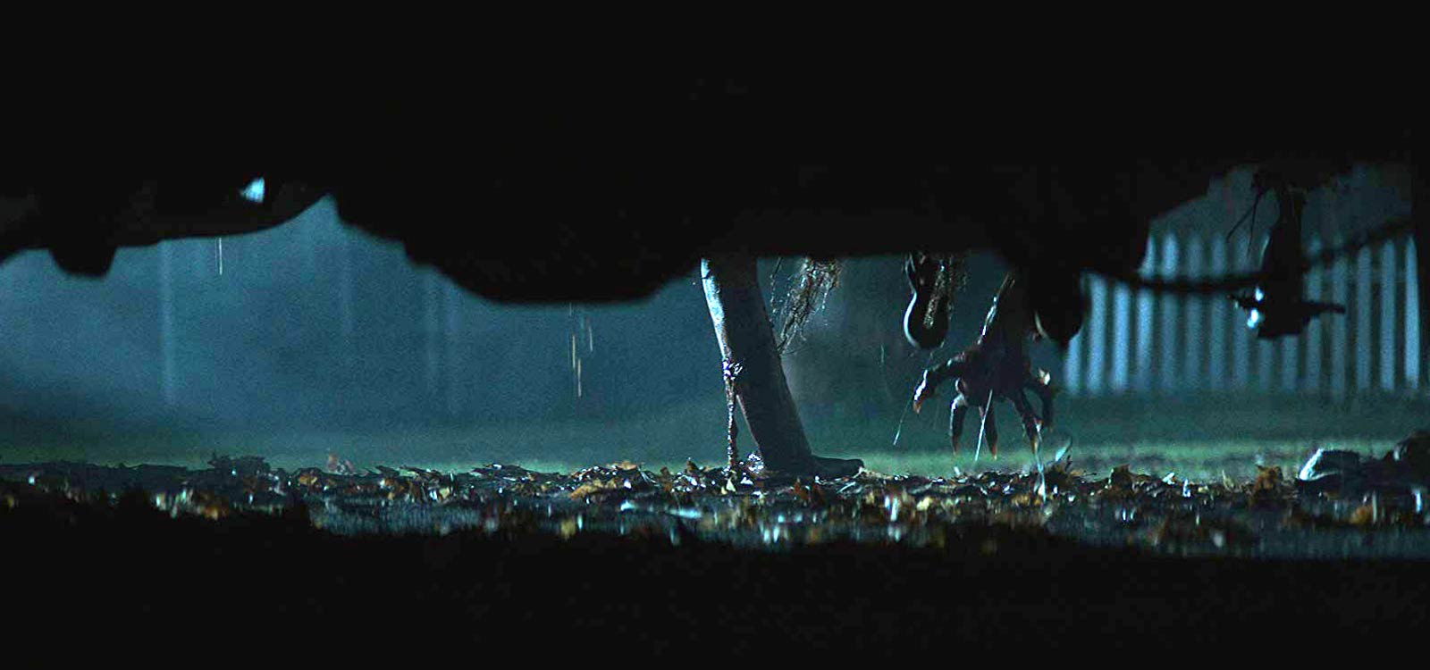   (2019)