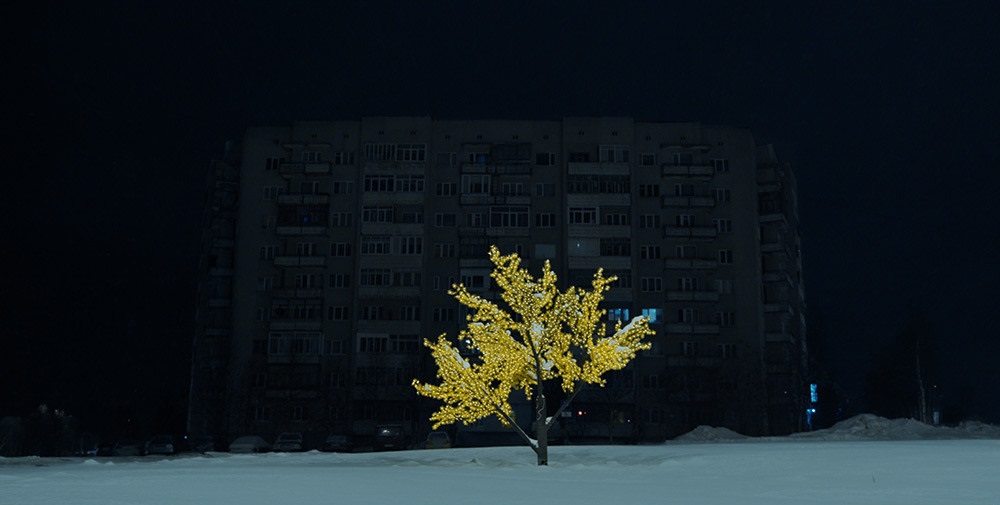  (2019)