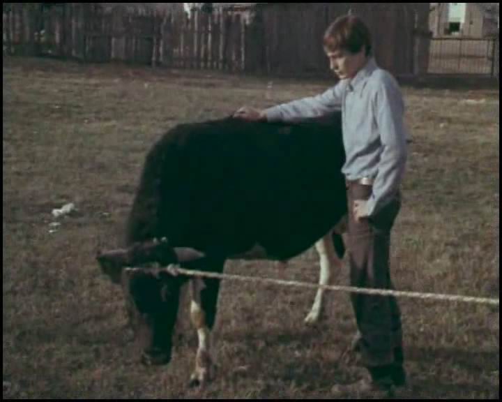    (1979)
