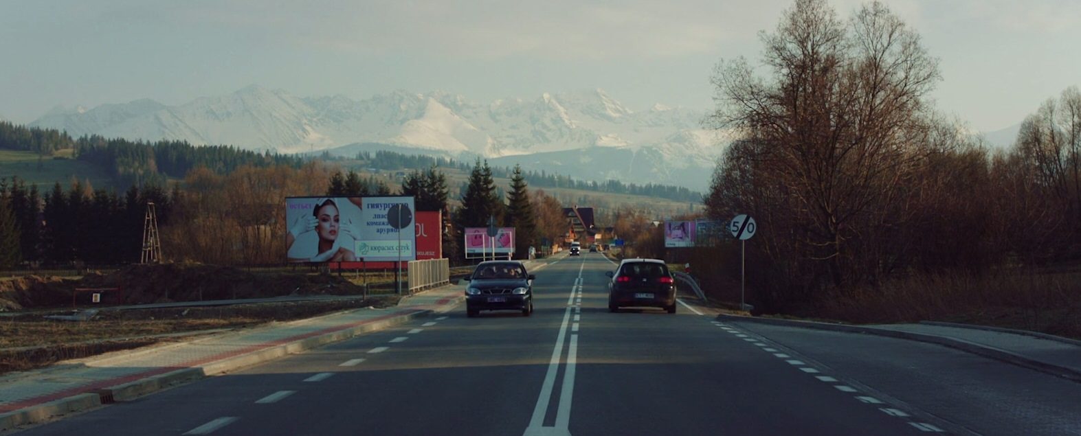   (2019)
