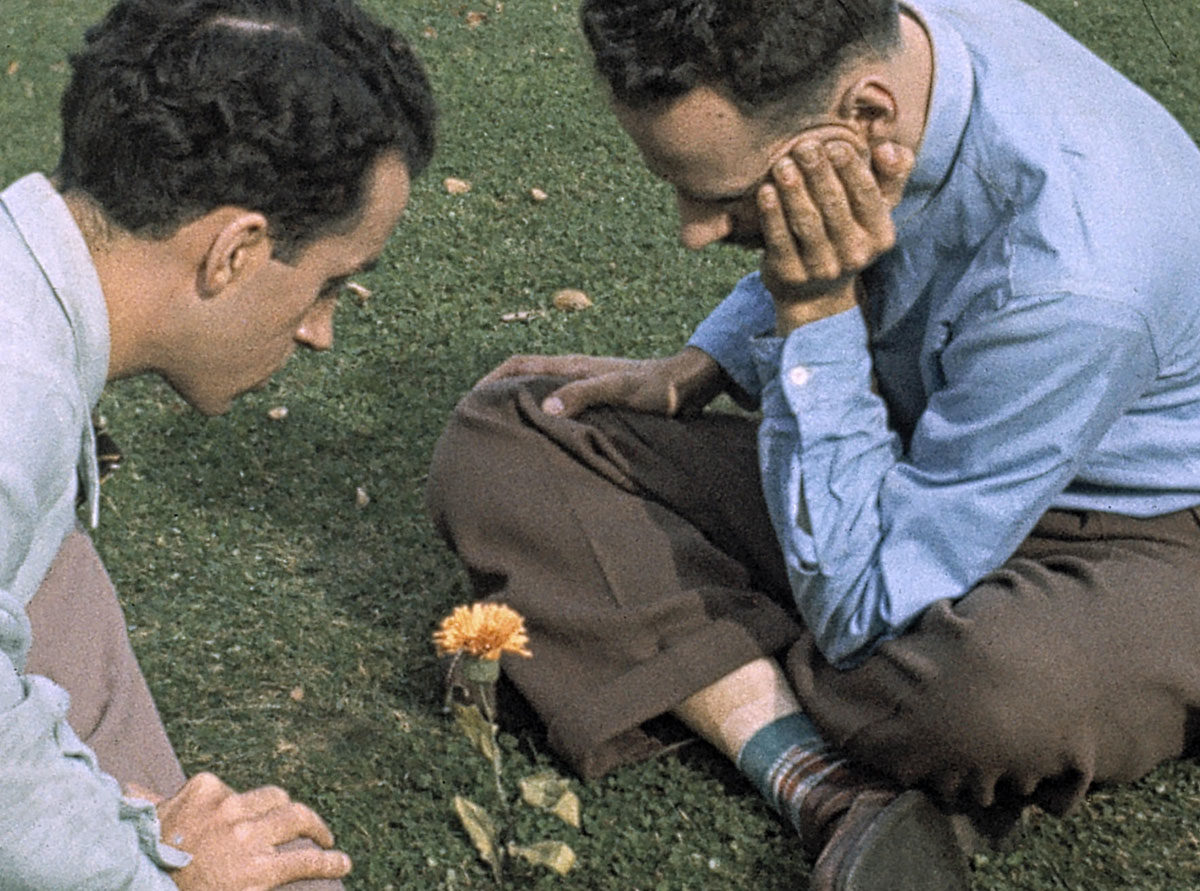  (1952)