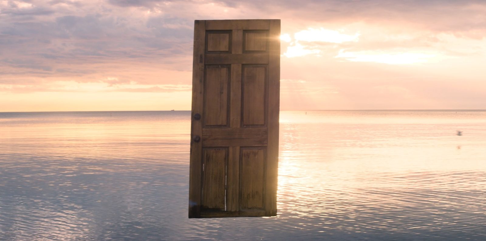  (2021)