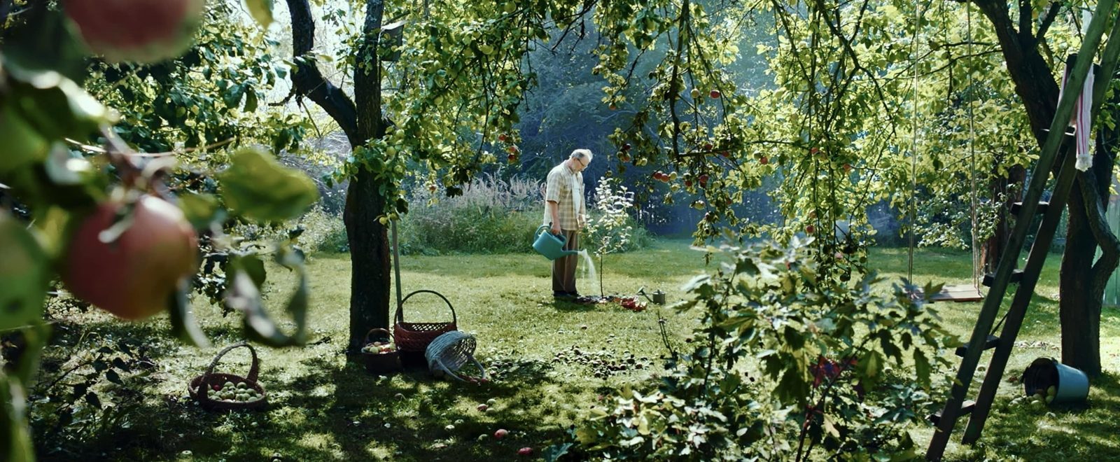  (2021)