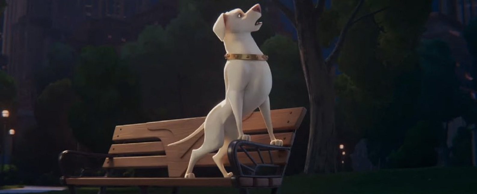   (2022)