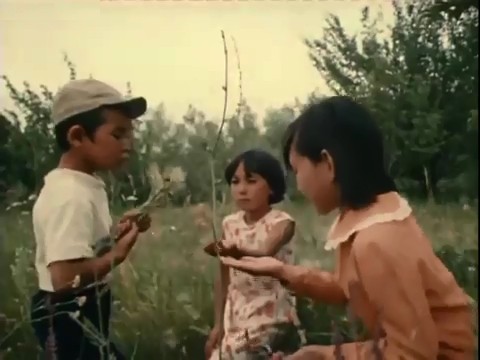    (1972)
