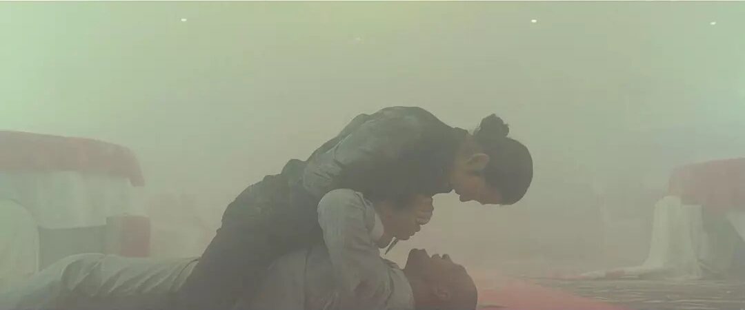   (2017)