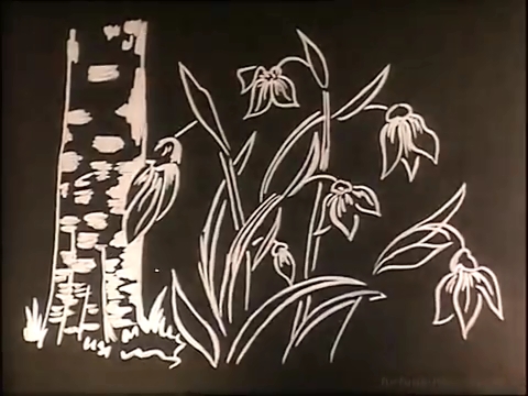     (1966)