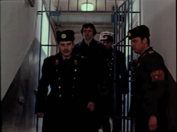  (1982)