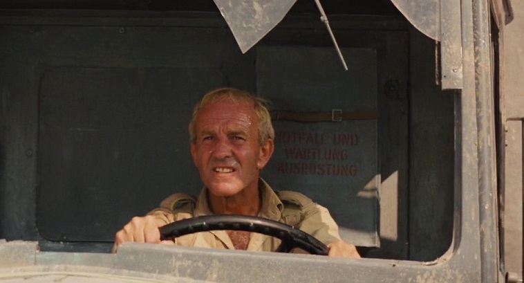  :     (1981)