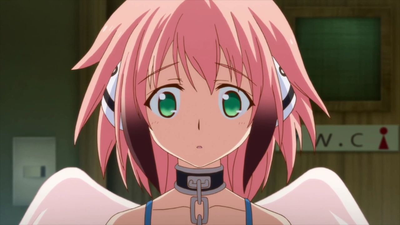Picture background