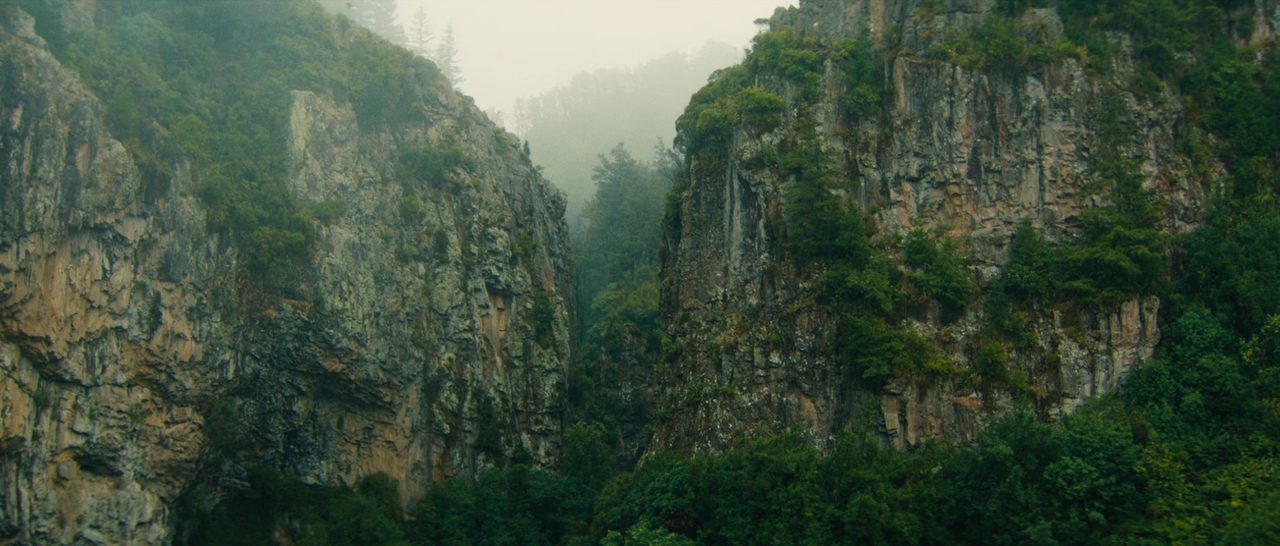Z -   (2015)