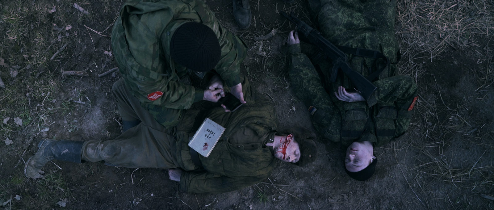   (2017)