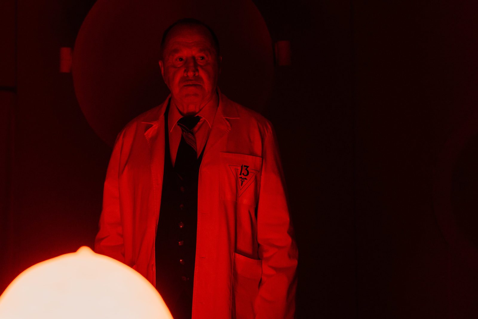 13  (2022)