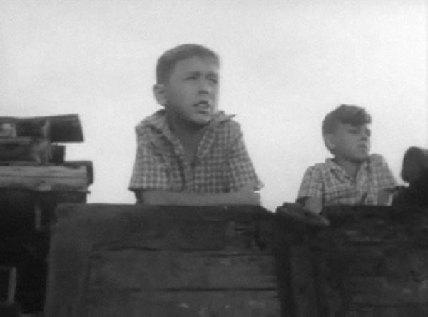   (1965)