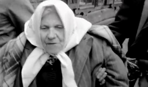    (2003)
