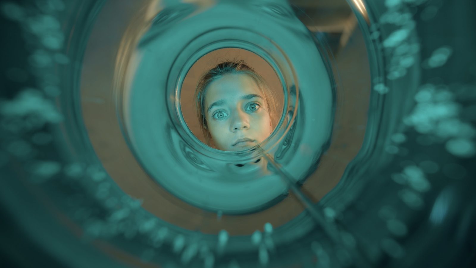  (2023)