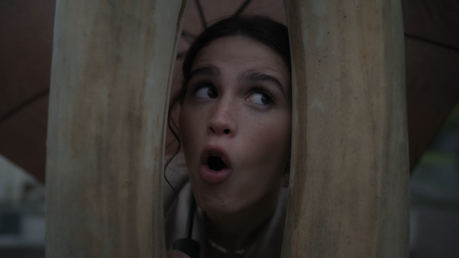  (2021)